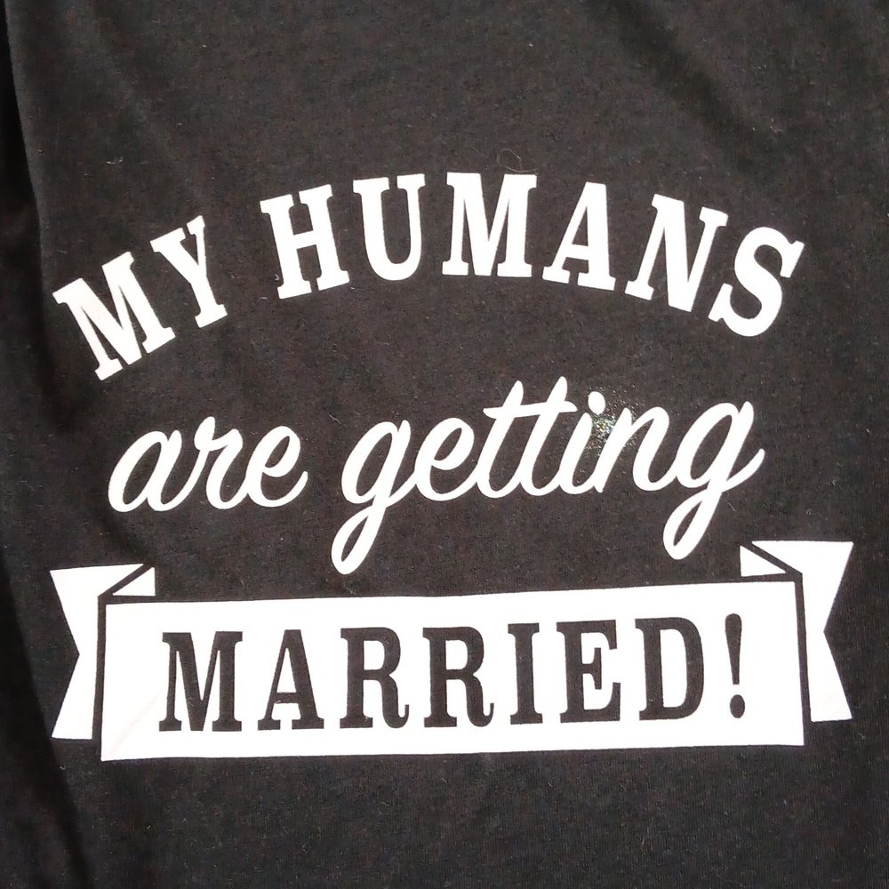 Pet Apparel